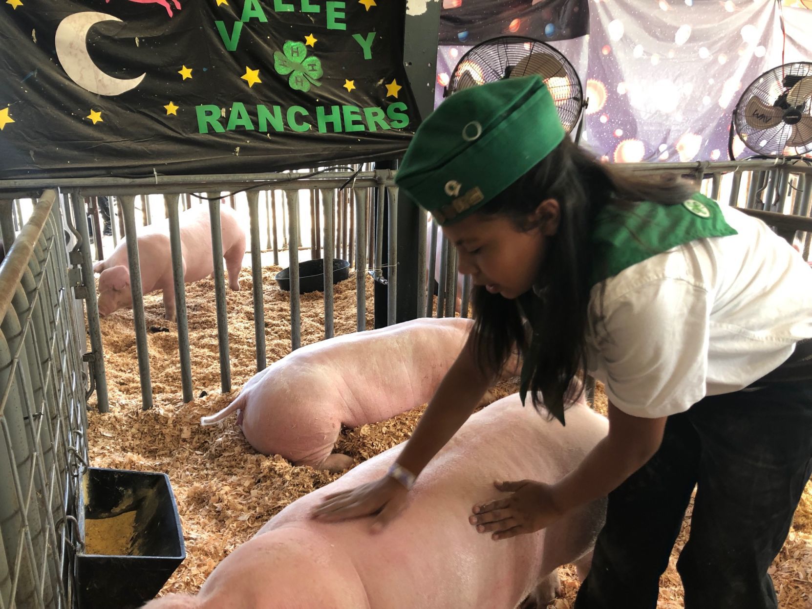 Napa Town and Country Fair, 2019 Livestock Auction